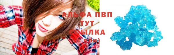 крисы Алексин