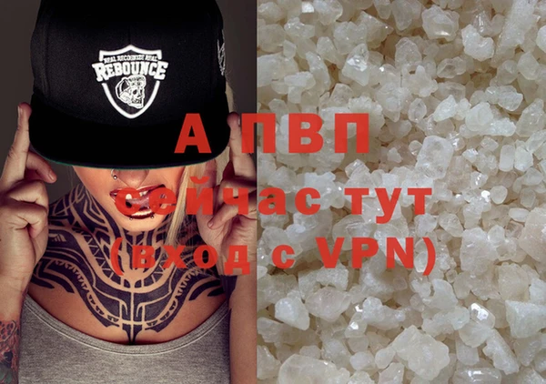 крисы Алексин