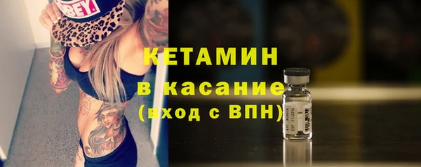 крисы Алексин