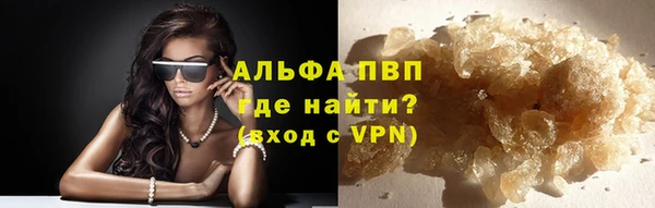 крисы Алексин
