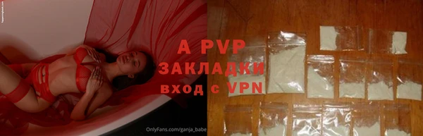крисы Алексин
