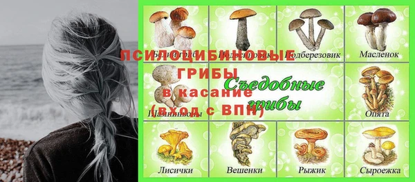 индика Алексеевка